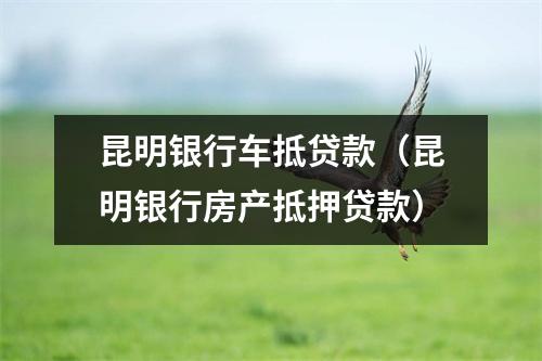 昆明银行车抵贷款（昆明银行房产抵押贷款）