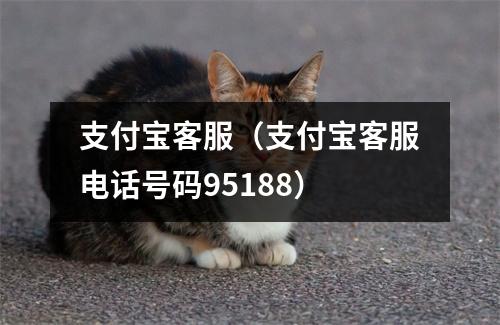 支付宝客服(支付宝客服电话号码95188)