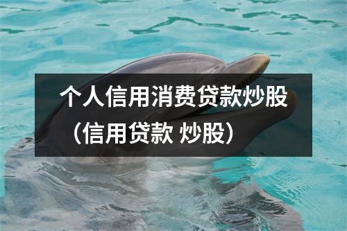 个人信用消费贷款炒股（信用贷款 炒股）