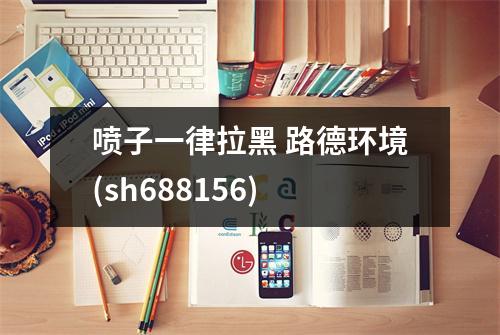 喷子一律拉黑 路德环境(sh688156)
