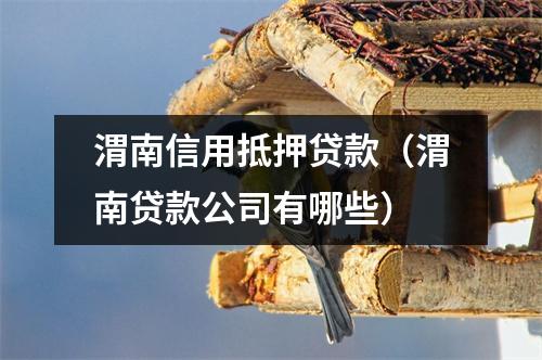 渭南信用抵押贷款（渭南贷款公司有哪些）