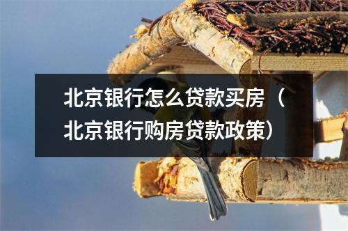 北京银行怎么贷款买房（北京银行购房贷款政策）