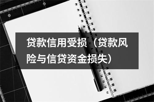 贷款信用受损（贷款风险与信贷资金损失）