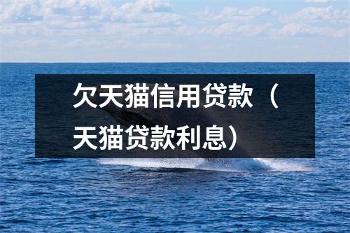 欠天猫信用贷款（天猫贷款利息）