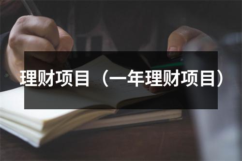 理财项目（一年理财项目）