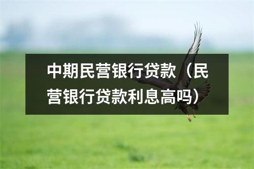 中期民营银行贷款（民营银行贷款利息高吗）