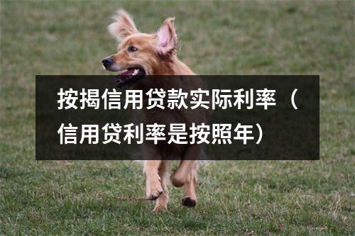 按揭信用贷款实际利率（信用贷利率是按照年）