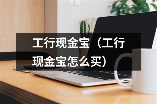 工行现金宝（工行现金宝怎么买）