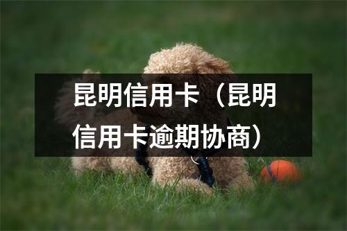 昆明信用卡(昆明信用卡逾期协商)