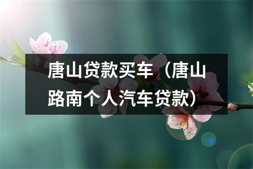 唐山贷款买车（唐山路南个人汽车贷款）