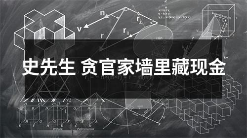 史先生 贪官家墙里藏现金