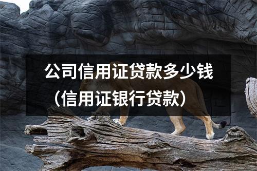 公司信用证贷款多少钱（信用证银行贷款）