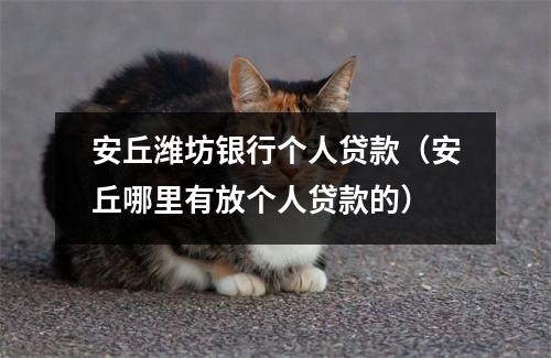 安丘潍坊银行个人贷款（安丘哪里有放个人贷款的）