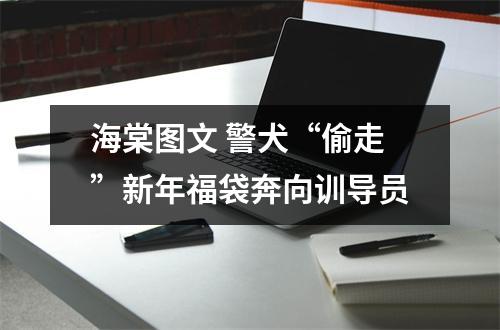 海棠图文 警犬“偷走”新年福袋奔向训导员