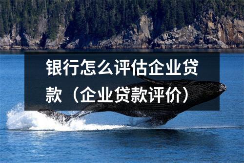 银行怎么评估企业贷款（企业贷款评价）