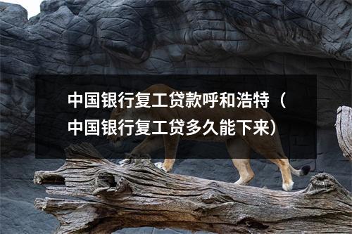 中国银行复工贷款呼和浩特(中国银行复工贷多久能下来)