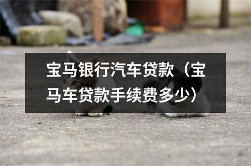 宝马银行汽车贷款（宝马车贷款手续费多少）