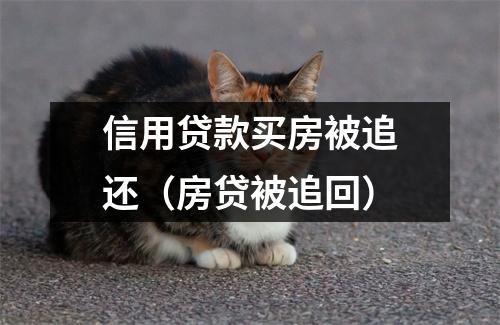 信用贷款买房被追还(房贷被追回)