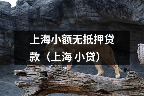 上海小额无抵押贷款（上海 小贷）