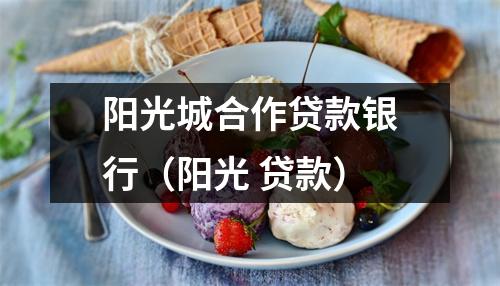 阳光城合作贷款银行（阳光 贷款）