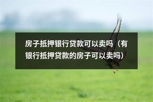 房子抵押银行贷款可以卖吗（有银行抵押贷款的房子可以卖吗）