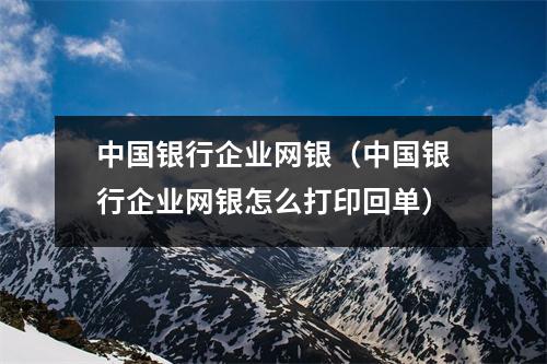 中国银行企业网银（中国银行企业网银怎么打印回单）
