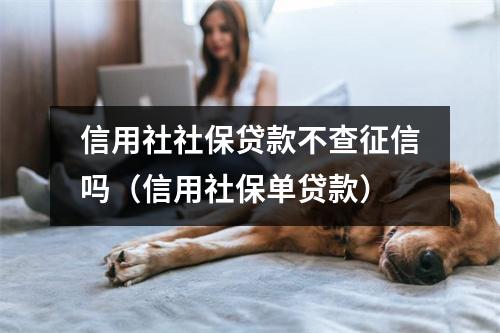 信用社社保贷款不查征信吗（信用社保单贷款）