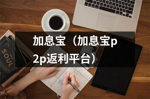 加息宝(加息宝p2p返利平台)