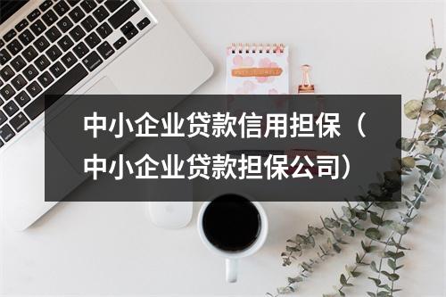 中小企业贷款信用担保（中小企业贷款担保公司）