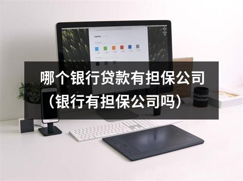 哪个银行贷款有担保公司（银行有担保公司吗）