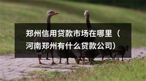 郑州信用贷款市场在哪里（河南郑州有什么贷款公司）