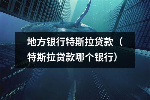 地方银行特斯拉贷款（特斯拉贷款哪个银行）