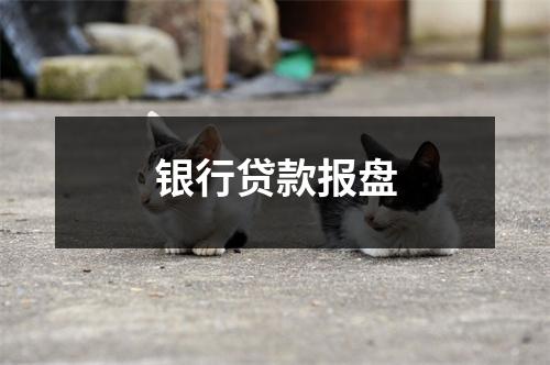 银行贷款报盘
