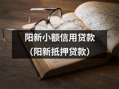 阳新小额信用贷款（阳新抵押贷款）