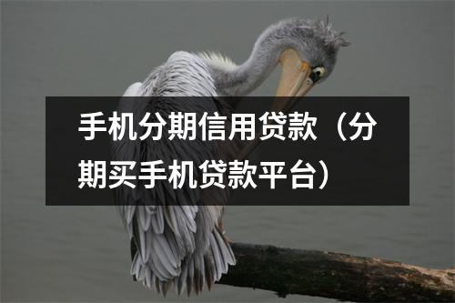 手机分期信用贷款(分期买手机贷款平台)