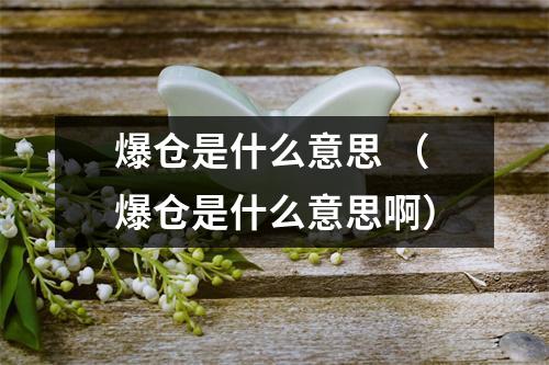 爆仓是什么意思 (爆仓是什么意思啊)