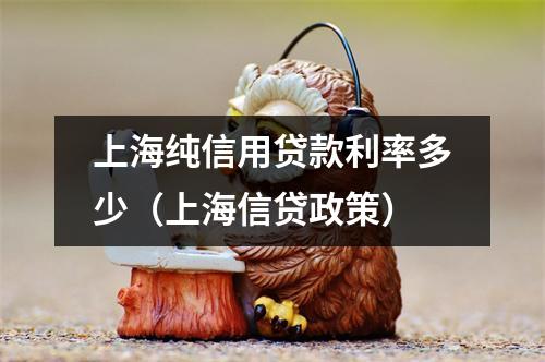 上海纯信用贷款利率多少(上海信贷政策)