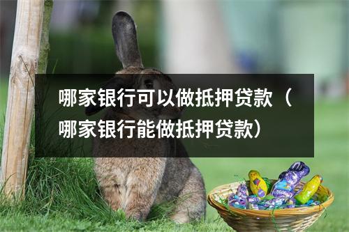 哪家银行可以做抵押贷款（哪家银行能做抵押贷款）