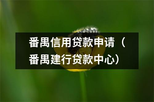 番禺信用贷款申请（番禺建行贷款中心）