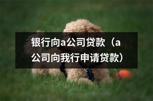 银行向a公司贷款（a公司向我行申请贷款）