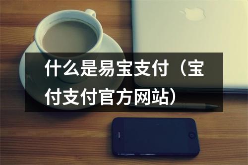 什么是易宝支付（宝付支付官方网站）
