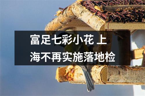 富足七彩小花 上海不再实施落地检