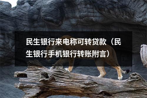 民生银行来电称可转贷款（民生银行手机银行转账附言）