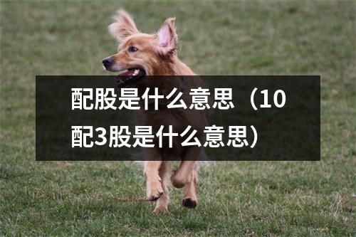 配股是什么意思（10配3股是什么意思）