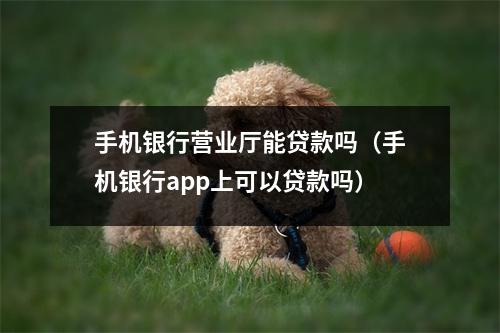 手机银行营业厅能贷款吗（手机银行app上可以贷款吗）