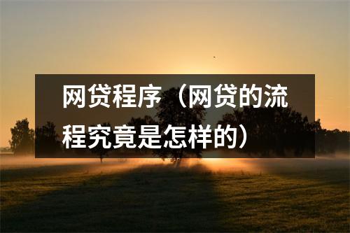 网贷程序（网贷的流程究竟是怎样的）