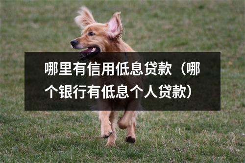 哪里有信用低息贷款（哪个银行有低息个人贷款）