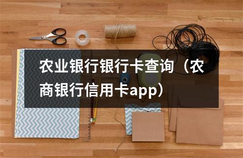 农业银行银行卡查询（农商银行信用卡app）