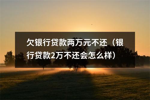 欠银行贷款两万元不还(银行贷款2万不还会怎么样)