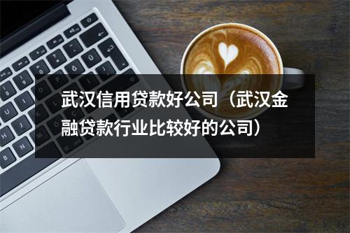 武汉信用贷款好公司（武汉金融贷款行业比较好的公司）